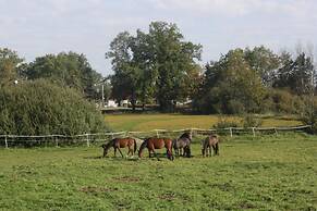 Gutshof zum Adlernest
