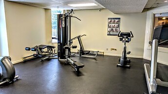 Whistler Blackcomb VR at Marquise