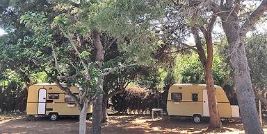 Camping Azahar