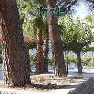 Camping Azahar