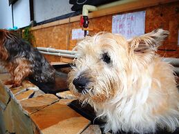 Petit Hotel Paddington House