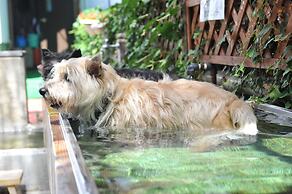 Petit Hotel Paddington House