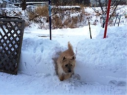 Petit Hotel Paddington House