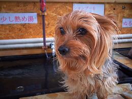 Petit Hotel Paddington House