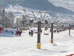 Kitashiga Lime Light