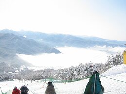 Kitashiga Lime Light