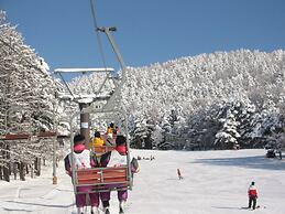 Kitashiga Lime Light