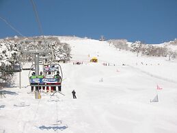 Kitashiga Lime Light