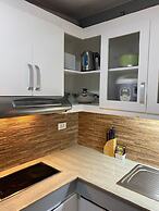 1BR Unit For Rent One Oasis Condominium