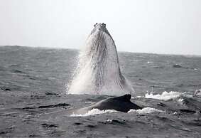 Paraiso do Ouro Resort