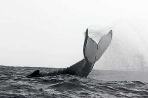 Paraiso do Ouro Resort