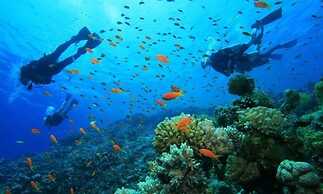 Paraiso do Ouro Resort