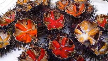 La Terrazza Sul Mare