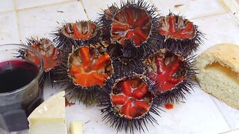 La Terrazza Sul Mare