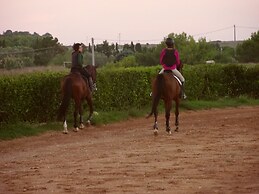 La Terrazza Sul Mare