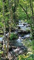 Aguas del Venero