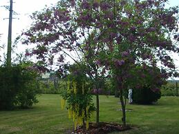 Le Châlet des Vignes