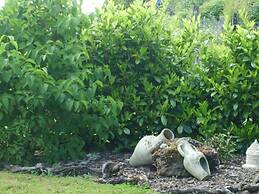 Le Châlet des Vignes