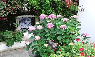 Il Giardino di Villa Anna
