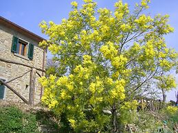 Agriturismo Casale della Torre