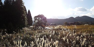 Tokuheian