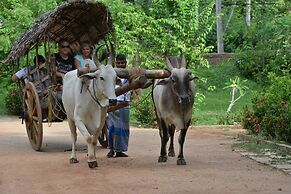 Pinthaliya Resort & Spa