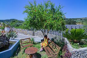 Villa Olive Tree
