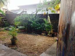 Villahredpalm