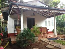 Villahredpalm