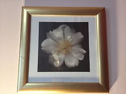 Inverness Apartments - Courtyard