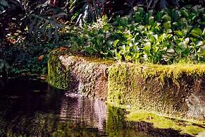 Pousada Solar d'Araucária