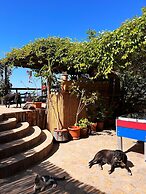 Deep Ocean Camping - Adults Only