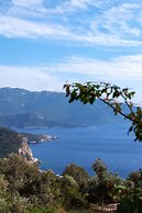 Deep Ocean Camping - Adults Only