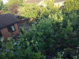 The Cedars House B&B