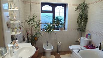 The Cedars House B&B