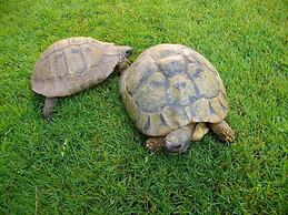 Weinresidenz Beth-Steuer