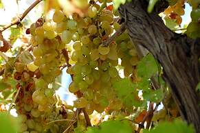 Apartments Martinovic