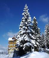 Boutique-Hotel LiebesNesterl Bergwirt