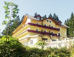 Boutique-Hotel LiebesNesterl Bergwirt
