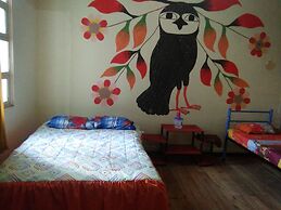 Krishna Hostal - Hostel