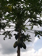 Indah Homestay and Cooking Classes