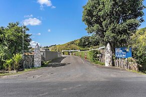 Port Waikato Holiday Park