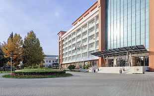 Chinar Hotel & Spa