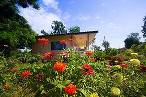 Country Lake Nature Lodge