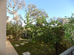 Aria Di Vacanza - Genziana