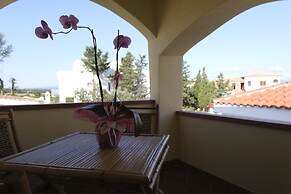 Aria di Vacanza - Gelsi