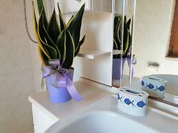 Aria di Vacanza- Molara