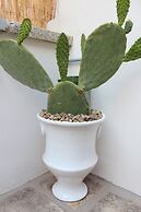 Terracielo Guest House