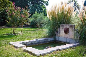 Sous les Platanes