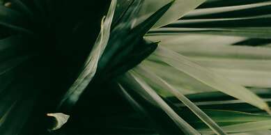 Ritsurin Boutique Hotel